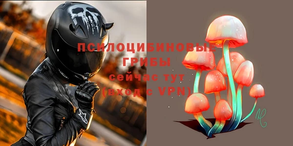 круглые Алзамай