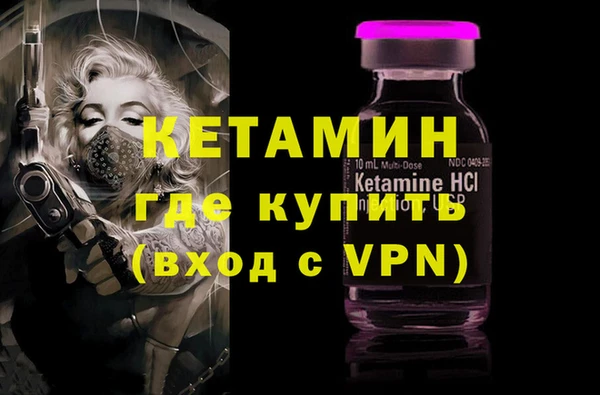 индика Дмитров