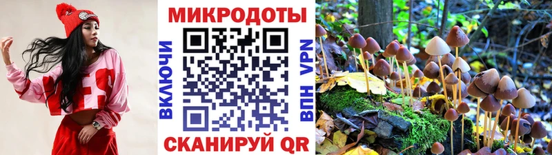 Галлюциногенные грибы MAGIC MUSHROOMS  omg зеркало  Порхов 